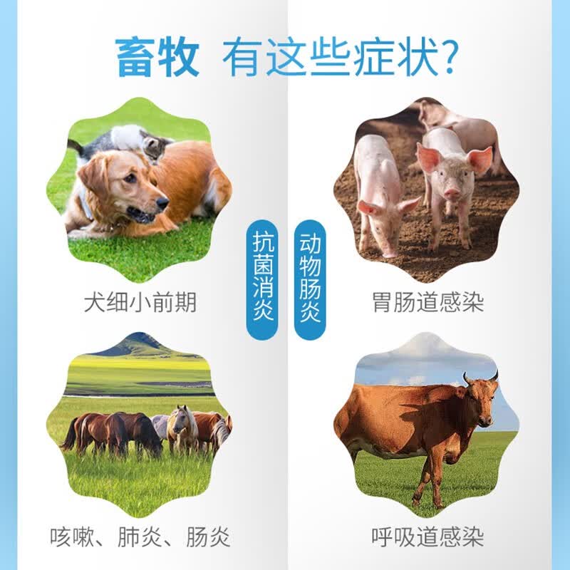 宠贝蒂兽药兽用庆大霉素注射液宠物犬猫兔牛羊猪腹泻拉稀肠道病黄白
