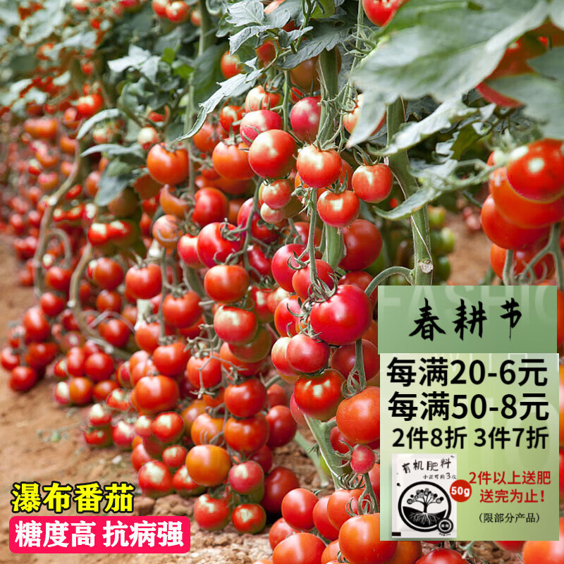 蔬菜类价格历史查询|蔬菜类价格走势