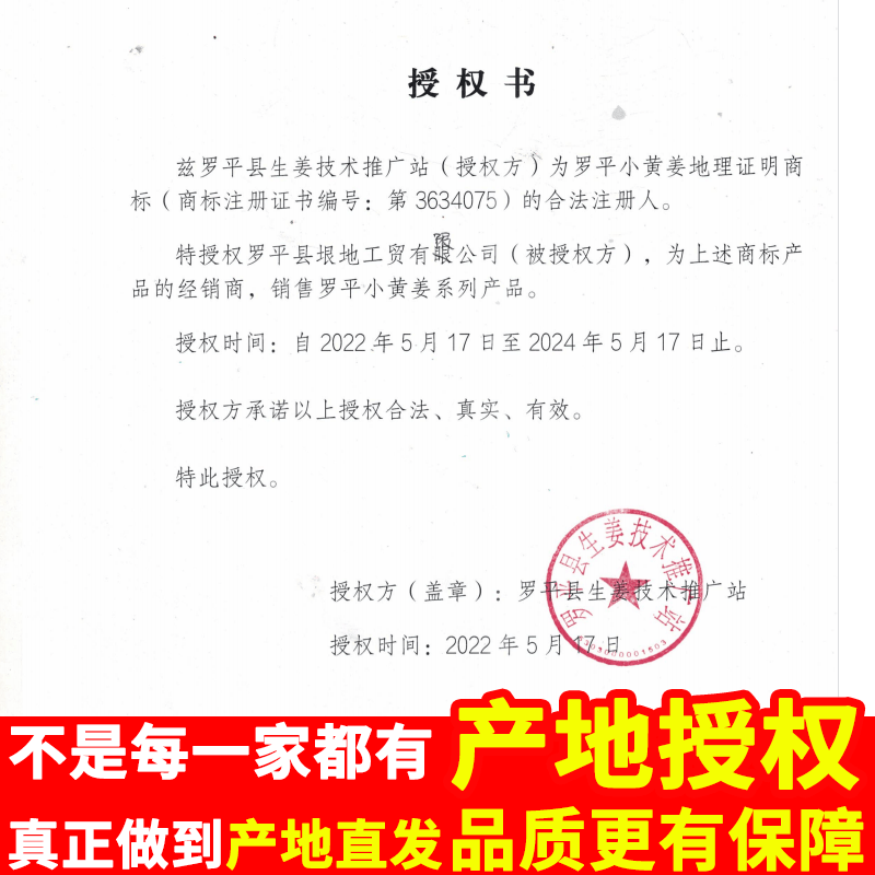 中鲜生 云南小黄姜 现挖生姜 新姜月子姜 新鲜蔬菜生鲜 小黄姜3斤净重