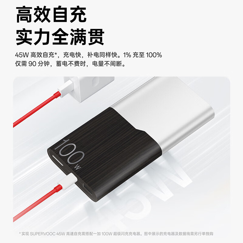 一加 100W  充电宝【国家补贴15%】超级闪充移动电源 12000mAh 手机充电宝 可上飞机可充电脑 极木版