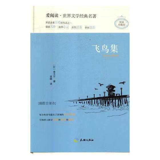 飞鸟集:插图全译本  泰戈尔  天地出版社  政治/军事 书籍