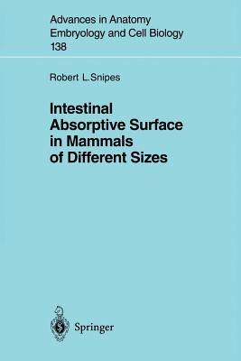 预订 intestinal absorptive surface in mammals of different sizes