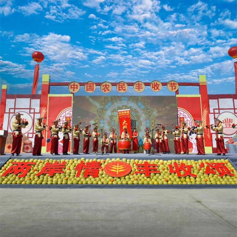 龙九恒丰正宗度尾文旦柚红心柚子蜜柚无虾线福建时令当季水果国庆中秋礼品 一级果精品 袋装20斤(单果700+
