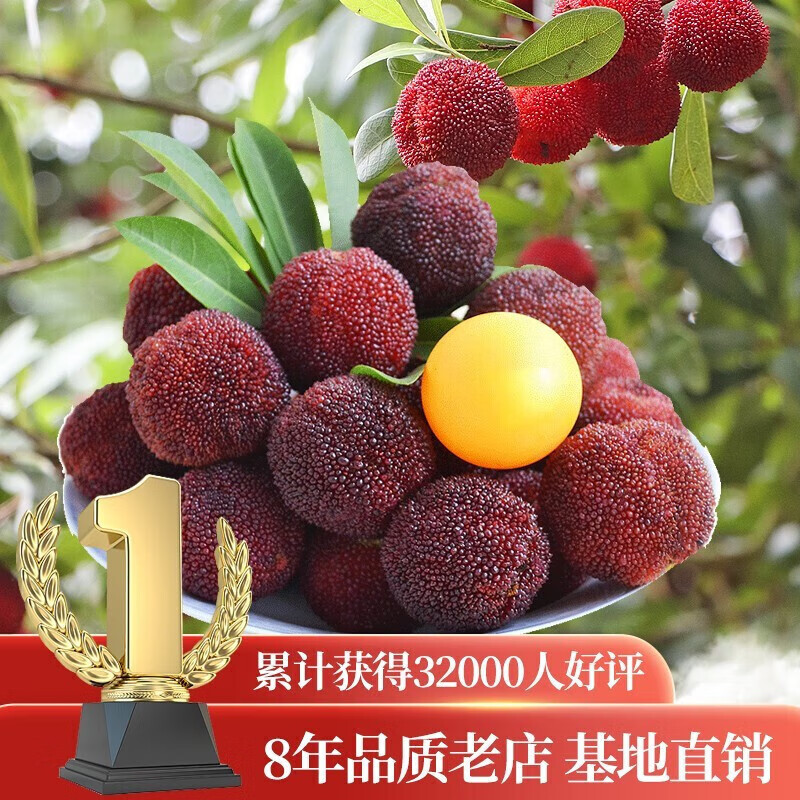 商品图片 6