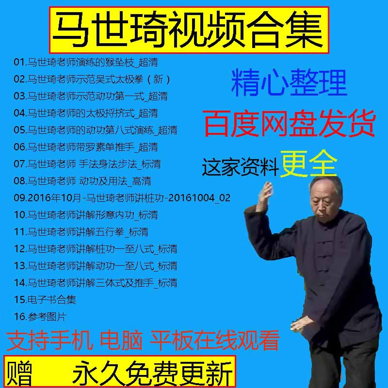 2021马世琦形意拳桩功教学视频程站桩三体式太极拳课合集完整版
