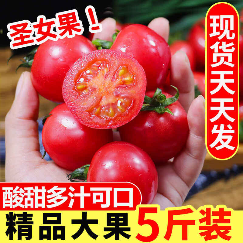 果迎鲜圣女果 千禧圣女果 小西红柿 新鲜水果 5斤
