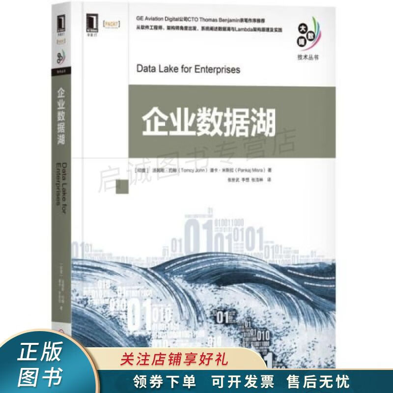 企业数据湖 【稀缺图书,放心购买】