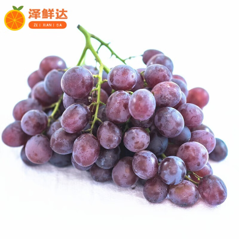 泽鲜达玫瑰香葡萄 山东特产平度大泽山新鲜葡萄饱满香甜整箱孕妇水果