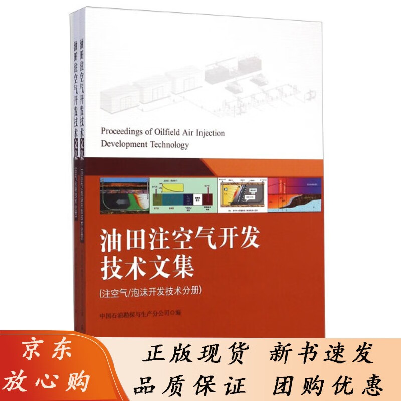 油田注空气开发技术文集-(两分册)石油工业中国石油勘探与生产分公司