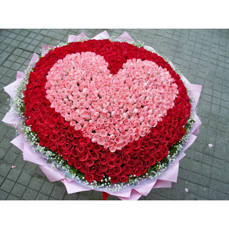 热带之恋红玫瑰鲜花速递花束365朵520朵999朵1314朵求婚告白送女友