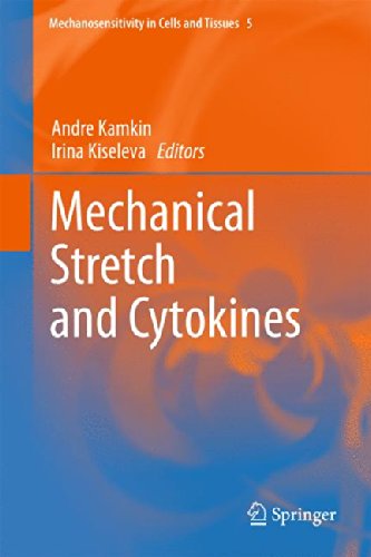 Mechanical Stretch a