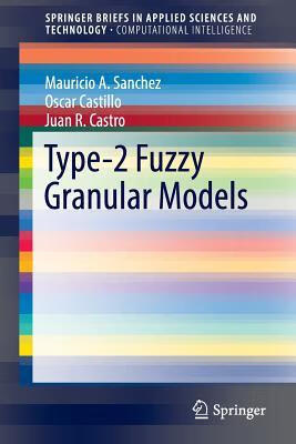 预订Type-2 Fuzzy Granular Models (2017)