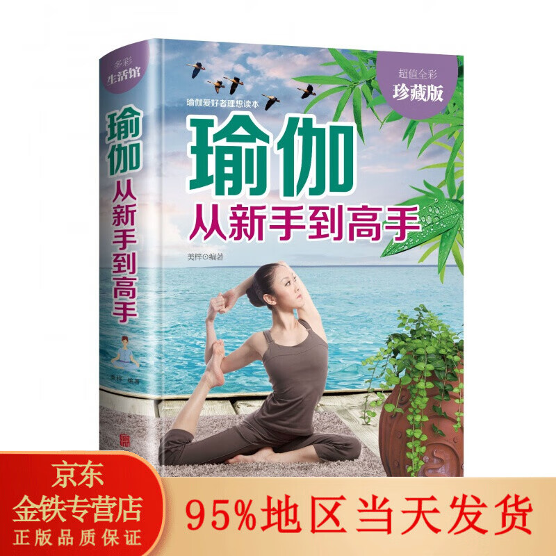 精装】瑜伽从新手到高手