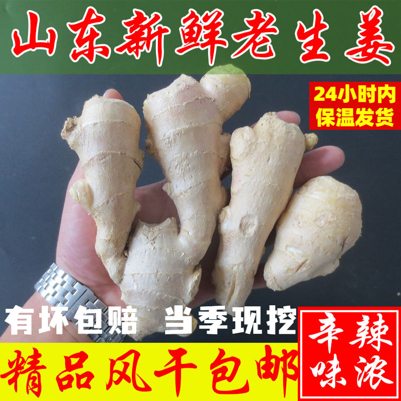 维霆山东大姜生鲜姜老姜新鲜当年现挖姜母姜三斤 500g