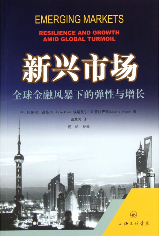 新兴市场(全球金融风暴下的弹性与增长)