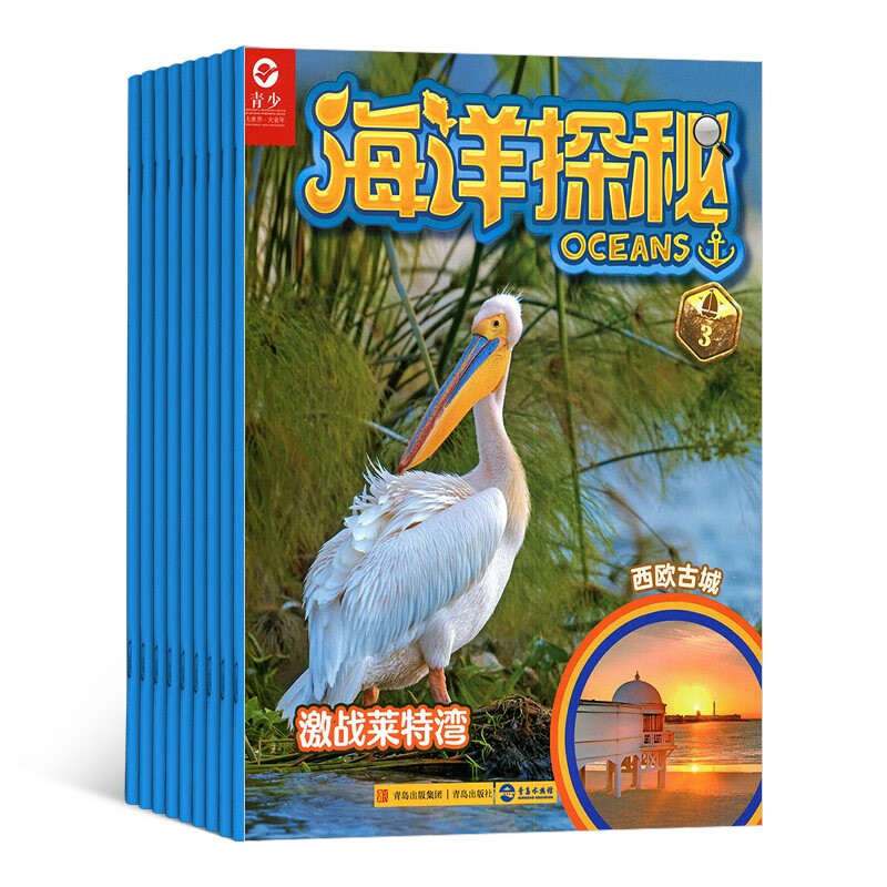 【预订】【杂志预计4月发货】海洋探秘杂志订阅 2024年4月起订 1年共