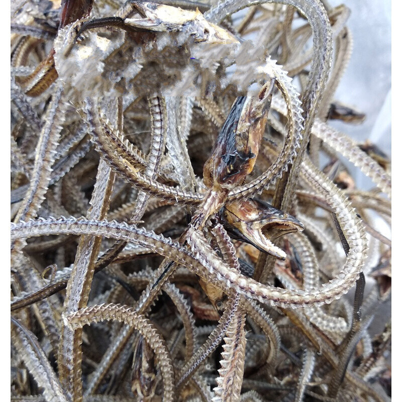 味巴哥干鳝鱼骨黄鳝骨头新鲜鳝鱼骨骨头晒干500克 提高白细胞煲汤无