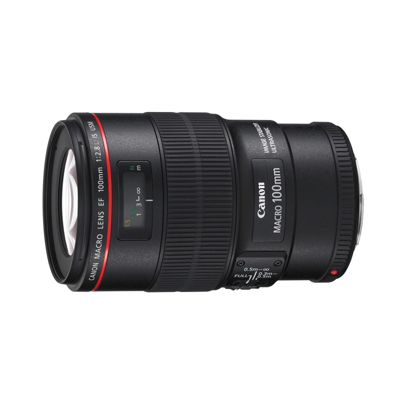 佳能（Canon） EF100mm f2.8L IS USM新百微镜头 口腔牙科昆虫花鸟细节微距 EF 100mm f/2.8L IS USM 微距