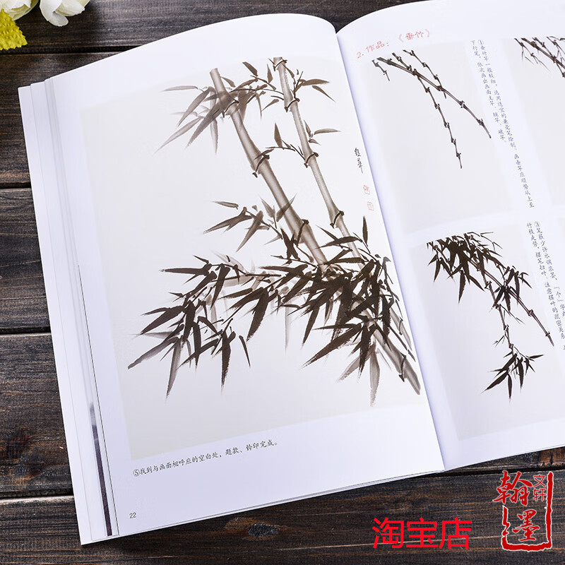 墨点美术绘画妙笔丹青写意竹子初学者写意画基础教程国画入门