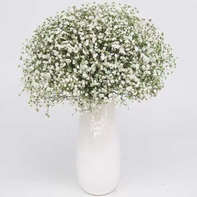 花风干客厅摆设天然新房装饰摆件插花染色鲜花  中通-白色满天星500g