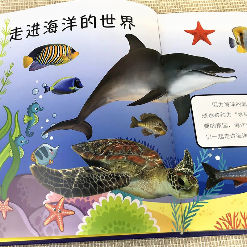 海洋那些重要的事（精装）有趣海洋知识神秘莫测海底世界千奇百怪海洋生物 少年儿童探索百科全书详情图