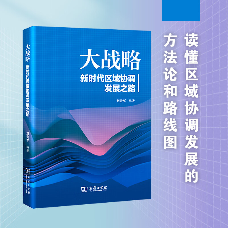 大战略:新时代区域协调发展之路