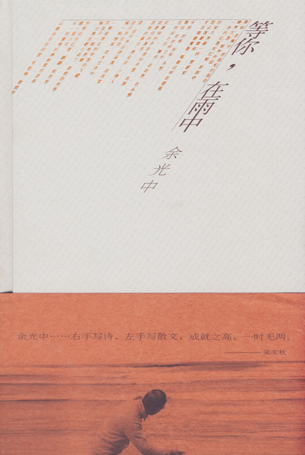 等你在雨中【稀缺图书,放心购买】