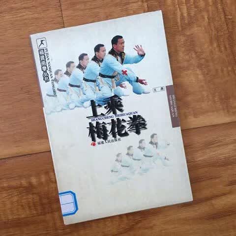 上乘梅花拳 王鼎著 福建人民出版社 , 1998.01