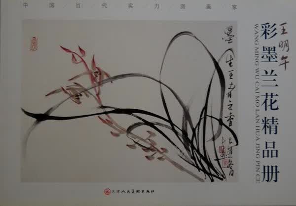王明午彩墨兰花精品册