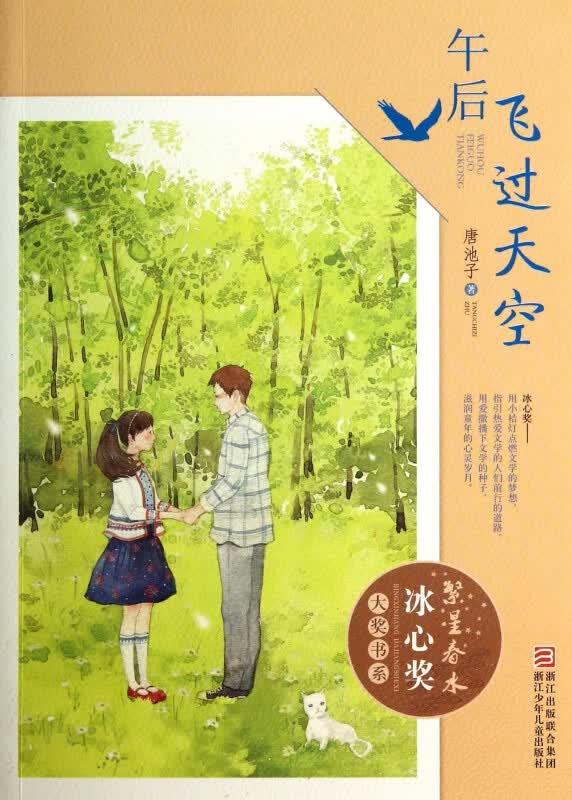 午后飞过天空/繁星春水冰心奖大奖书系