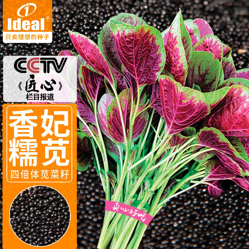 可以查询蔬菜类历史价格的网站|蔬菜类价格历史