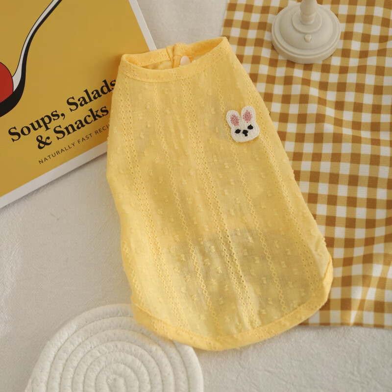 雅居猫咪衣服夏季宠物公猫小猫薄款防掉毛银渐层英短布偶猫猫幼猫背心