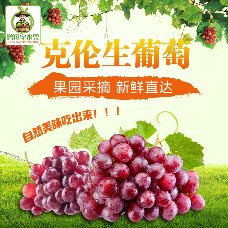 鹏翔宇【顺丰包邮】正宗山西克伦生无籽红提葡萄脆甜一整箱新鲜孕妇水果 净重2斤克伦生【尝鲜装】