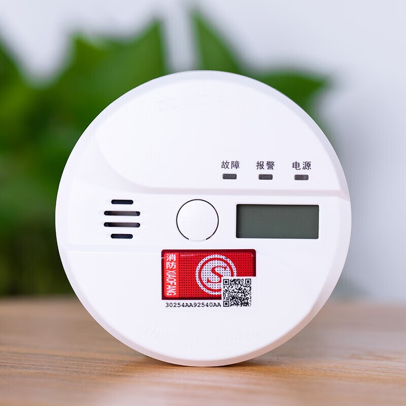 立可安一氧化碳报警器煤炉烧炭警报器蜂窝煤烧炭报警器防CO中毒探测器 新国标一氧化碳报警器（经济款）