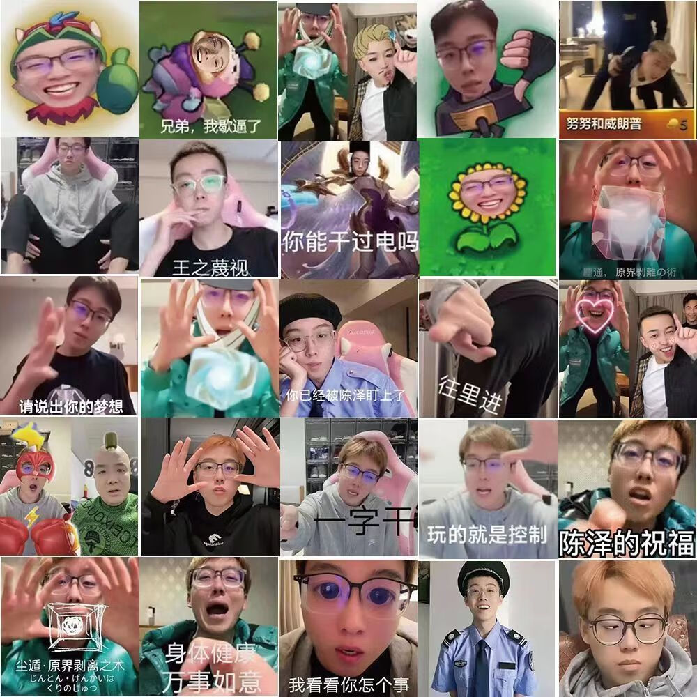 傻碧贴纸124张陈泽表情包搞笑沙雕桌面手机壳笔记本手账贴画 1个