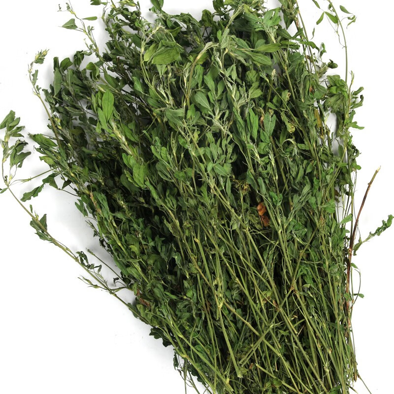 yee龙猫日常饲养用品 苜蓿草750g