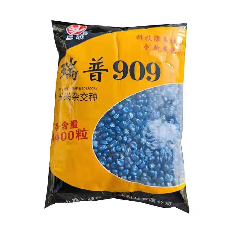 三联瑞普909一袋 矮杆大穗耐旱大田玉米种子杂交玉米种抗病抗倒耐