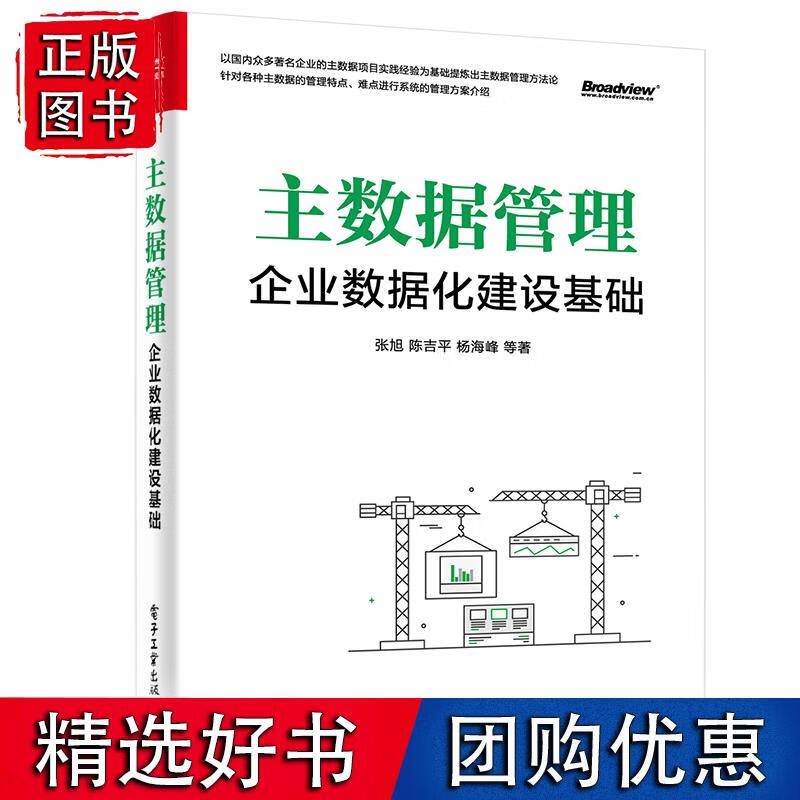 主数据管理:企业数据化建设基础 电子工业