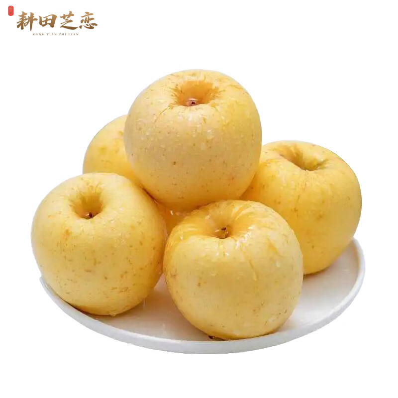 正宗黄金维纳斯苹果 纯甜无酸 当季新鲜水果 商超品质 维纳斯4.5斤9枚(单果80+)