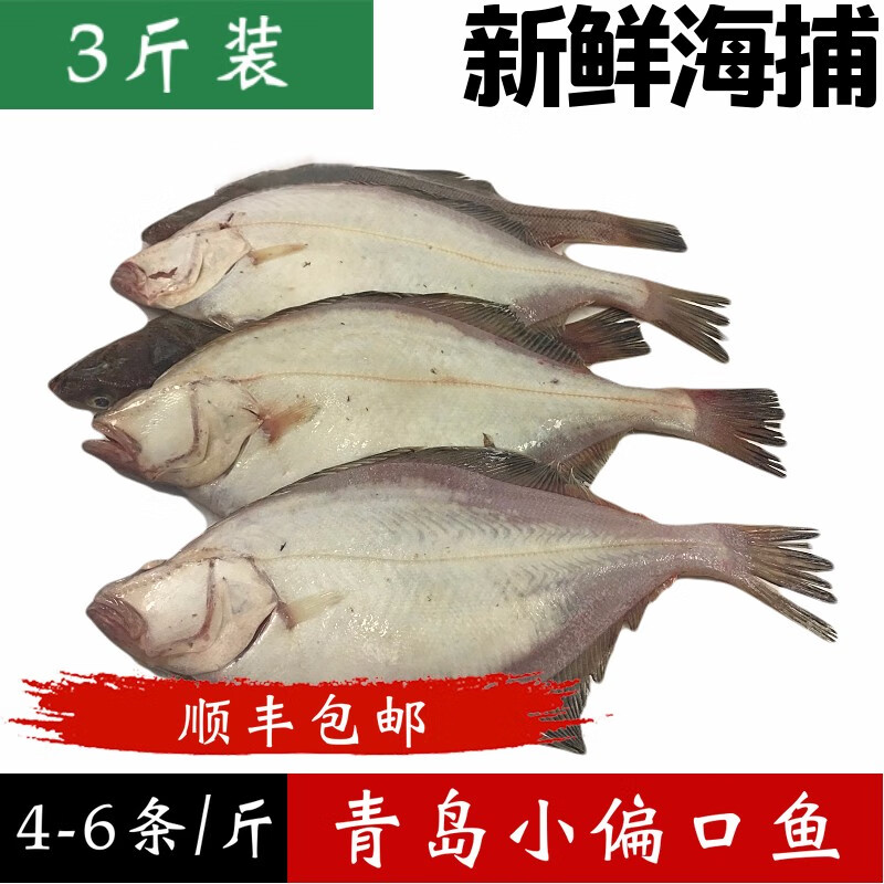 鱼姐海成 青岛新新鲜冷冻小偏口鱼小扁口鱼油煎烧烤海鲜水产约4-6条/斤3斤袋装
