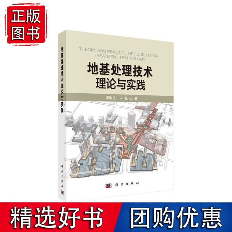 地基处理技术理论与实践