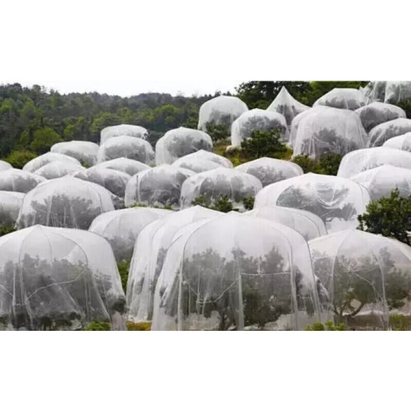 杨梅网罩水果树罩防虫网莲雾蓝梅网桃树防鸟网罩大棚网罩40目 40目1米
