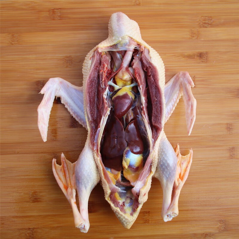 果亦橙 散养老鸭番鸭麻鸭水鸭现杀新鲜草鸭肉整只正宗炖汤老鸭子 整只