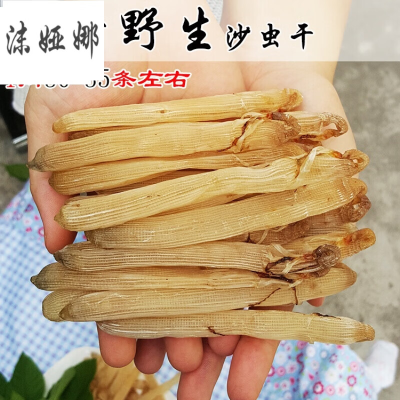 虎钢馋大号北海特产沙虫干 海肠子生无污染方格星虫一件50克