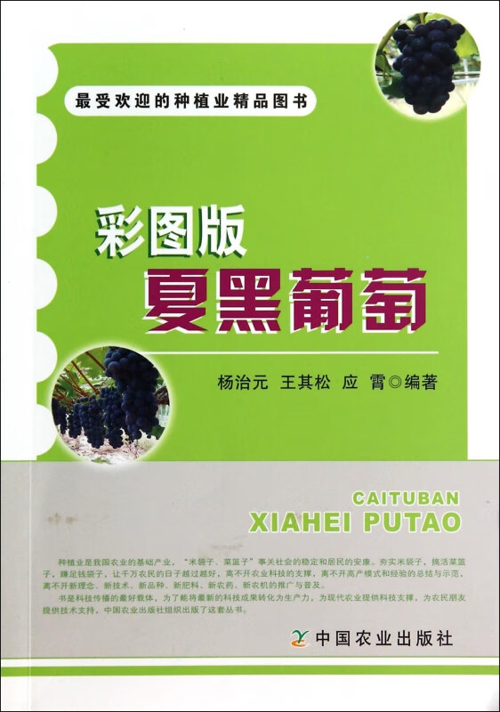 彩图版夏黑葡萄