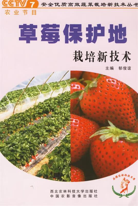草莓栽培保护地