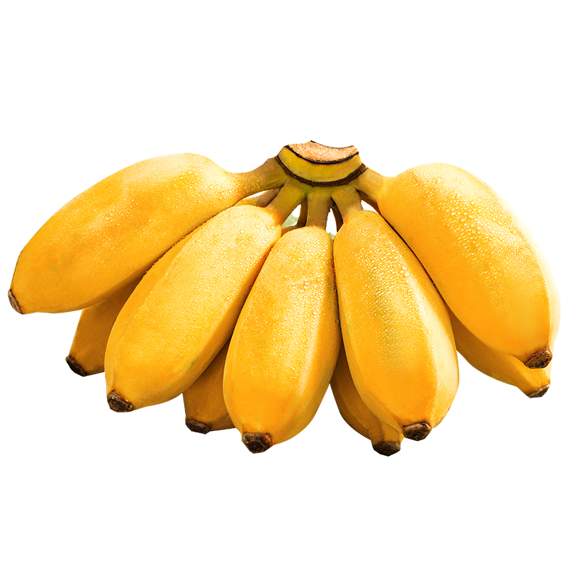 探味君 广西香蕉 小米蕉 新鲜水果 带箱 4斤