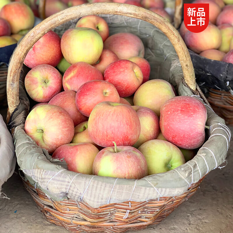 遇见悯农新疆苹果大漠冰糖心脆甜苹果源头直采健康轻食新鲜水果苹果礼盒 新疆冰糖心苹果（净重4.5斤） 严选150g起