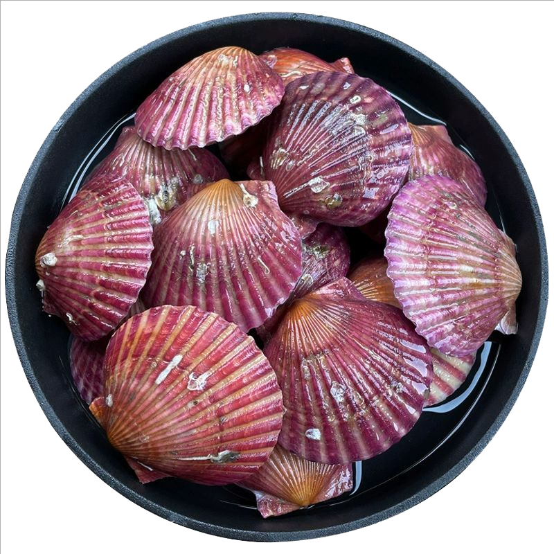 ���ڲ��������ʸ� �ʻ��ȱ�С�챴3��װ(12-15ֻ/��)*3 ���ʱ��� Դͷֱ��