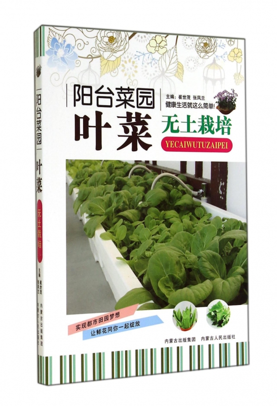 叶菜无土栽培(阳台菜园)